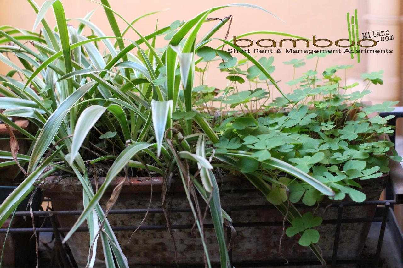 Bamboo Milano Brera公寓 外观 照片